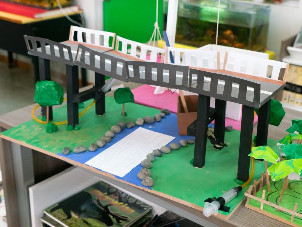 Proyecto Puente Basculante 1° Medio